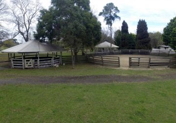 Horse Arenas - Agistment Exeter Southern Highlands